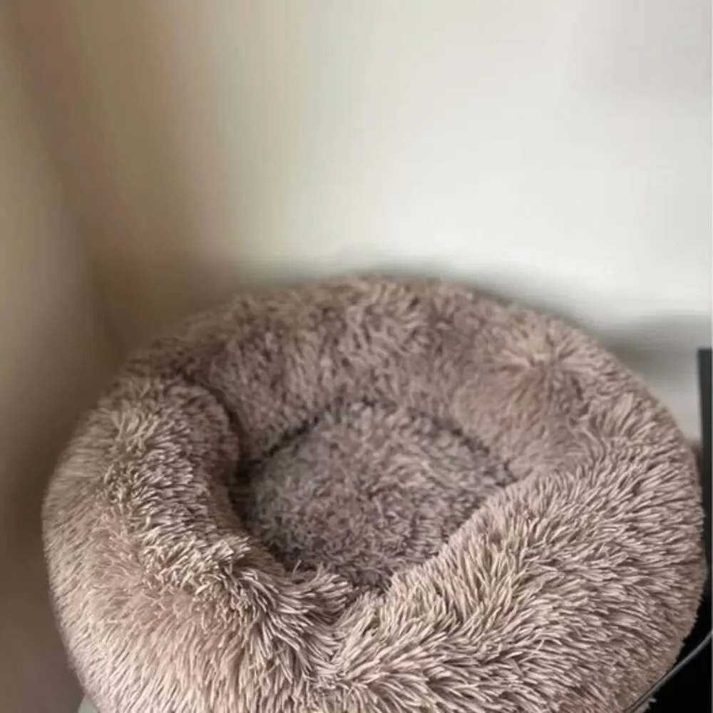 Large dog/cat bed